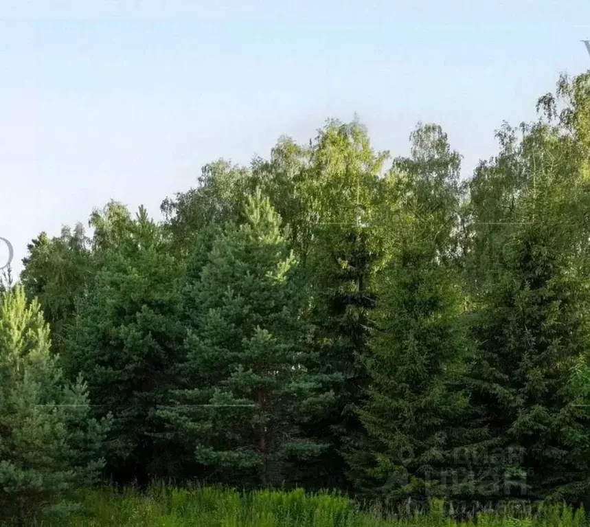 Участок в Московская область, Одинцовский городской округ, д. ... - Фото 0