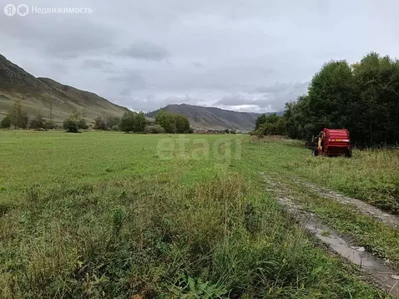Участок в Республика Алтай, село Онгудай (50 м) - Фото 1
