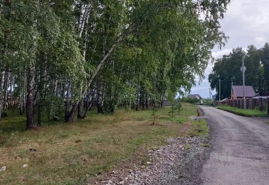 Участок в Новосибирская область, Новосибирский район, Криводановский ... - Фото 2