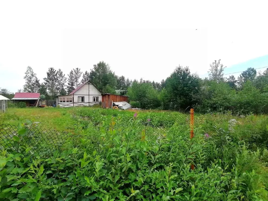 Дом в Свердловская область, Невьянский городской округ, пос. Аять, ... - Фото 0