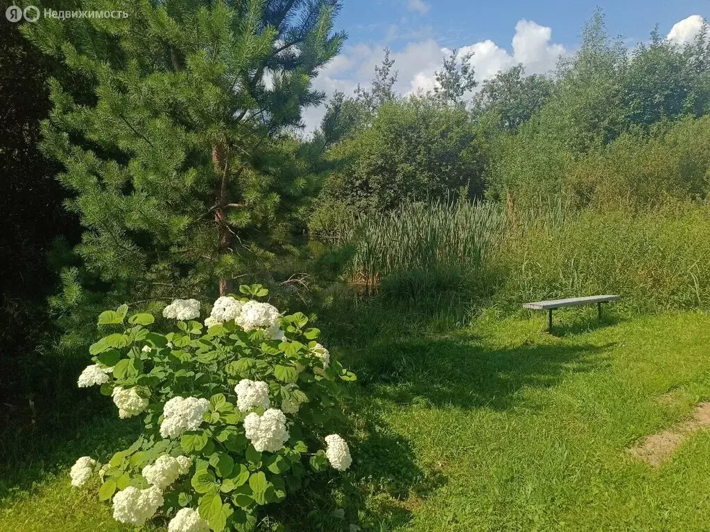 Участок в Смоленск, СТ Управление Торговли (10 м) - Фото 0