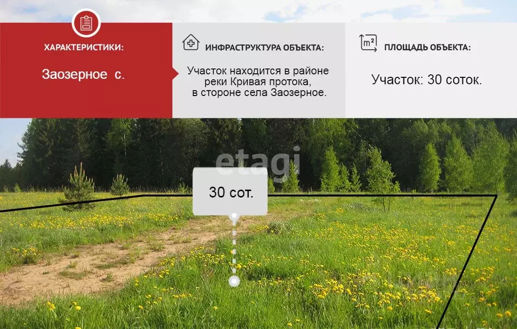 Участок в Хабаровский край, Хабаровский район, Тополевское с/пос, с. ... - Фото 1