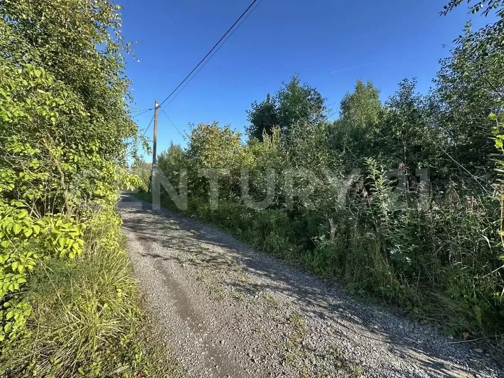Участок в Ленинградская область, Кировский район, Синявинское ... - Фото 2