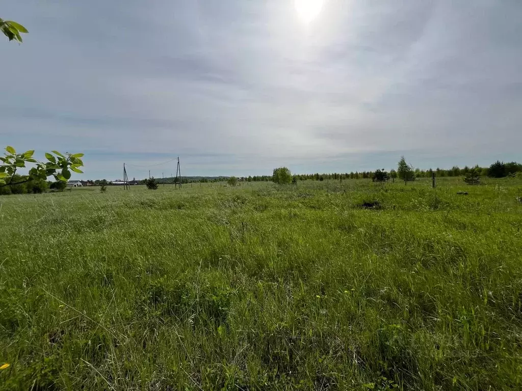 Участок в Пермский край, Осинский муниципальный округ  (23.0 сот.) - Фото 2