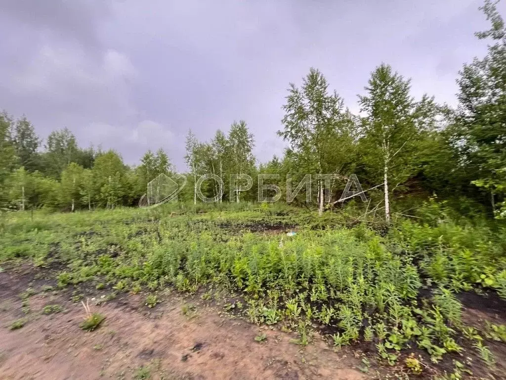Участок в Тюменская область, Тюменский район, д. Ушакова Зеленая ул., ... - Фото 1