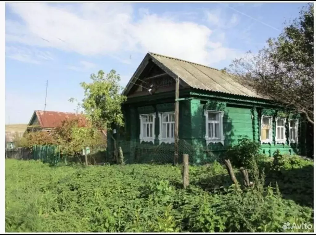Дом в Нижегородская область, Шатковский муниципальный округ, с. ... - Фото 1