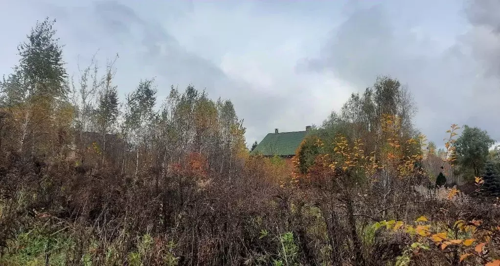 Участок в Москва д. Тупиково, Поляна СНТ,  (30.0 сот.) - Фото 2