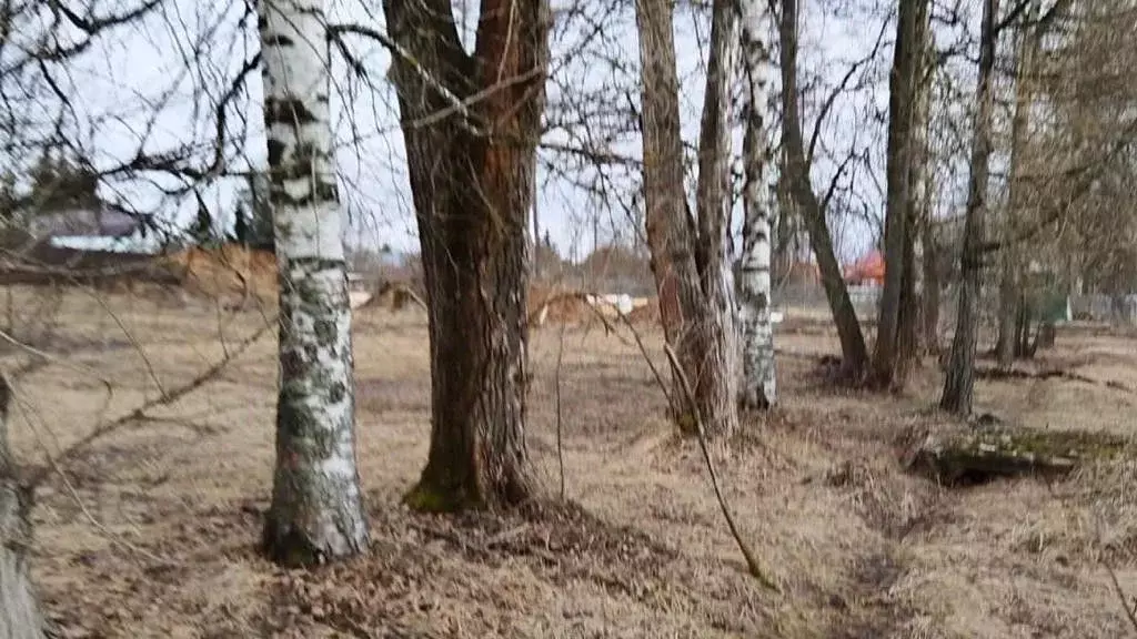 Участок в Тверская область, Конаковский муниципальный округ, ... - Фото 1