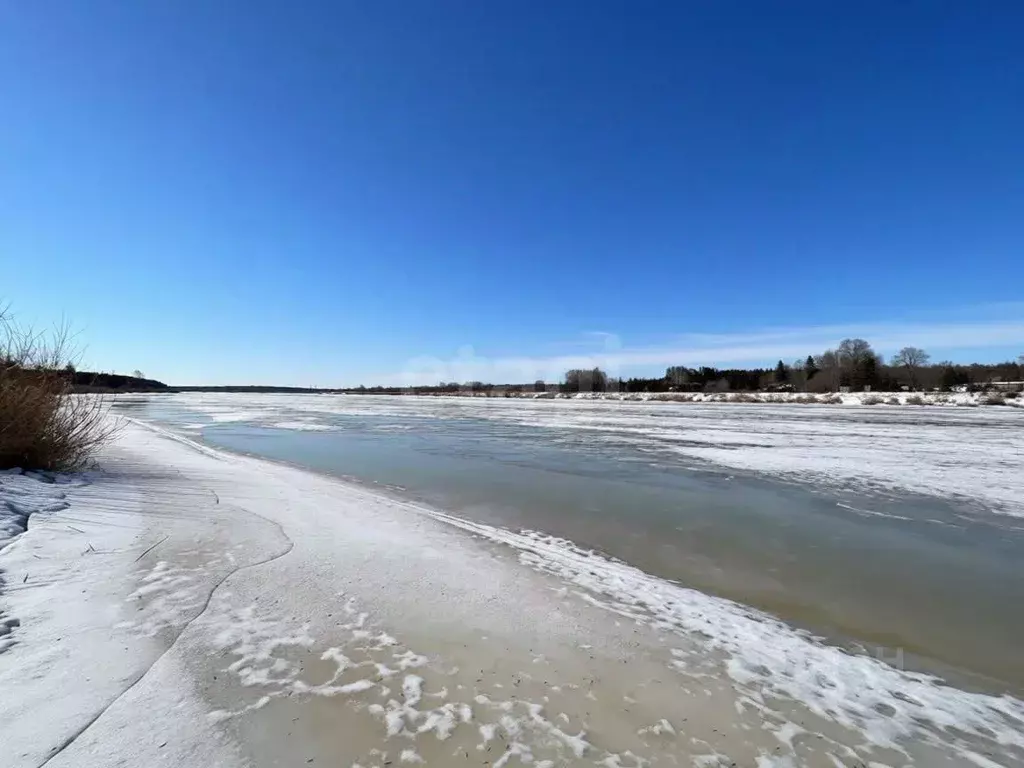 Участок в Псковская область, Псковский район, Тямшанская волость, ... - Фото 2