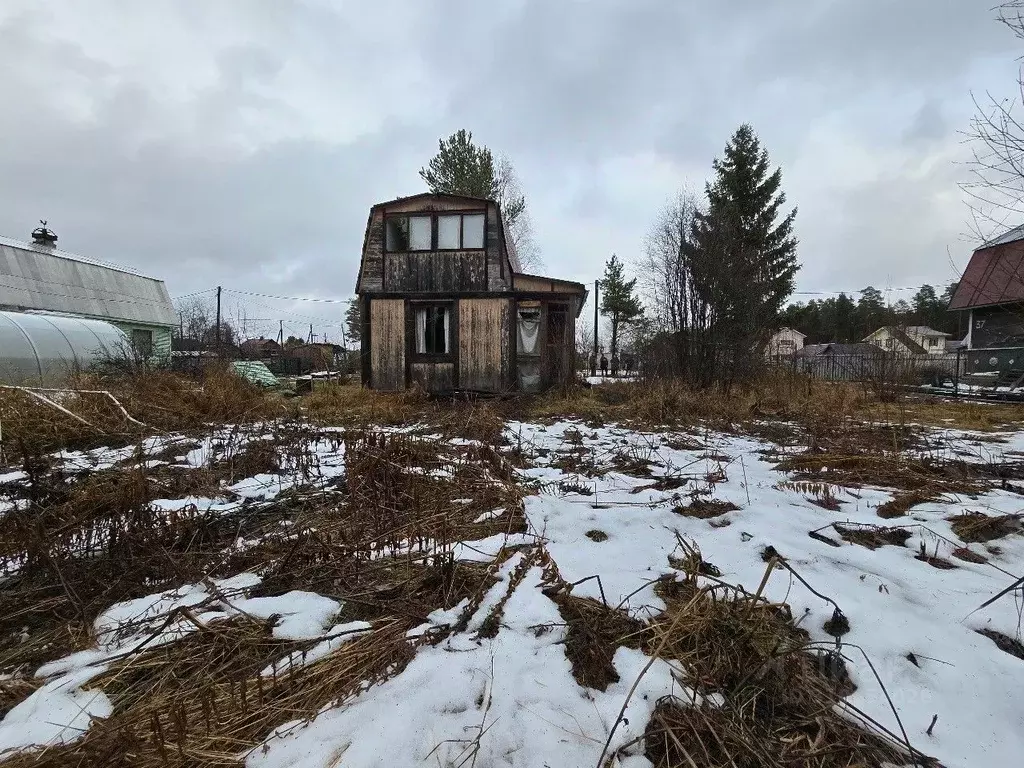 Участок в Карелия, Прионежский район, Шуйское с/пос, Садовод Севера ... - Фото 1