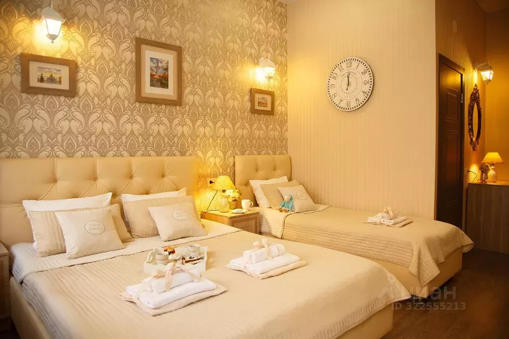 Комната Санкт-Петербург наб. Реки Мойки, 54 (20.0 м) - Фото 1