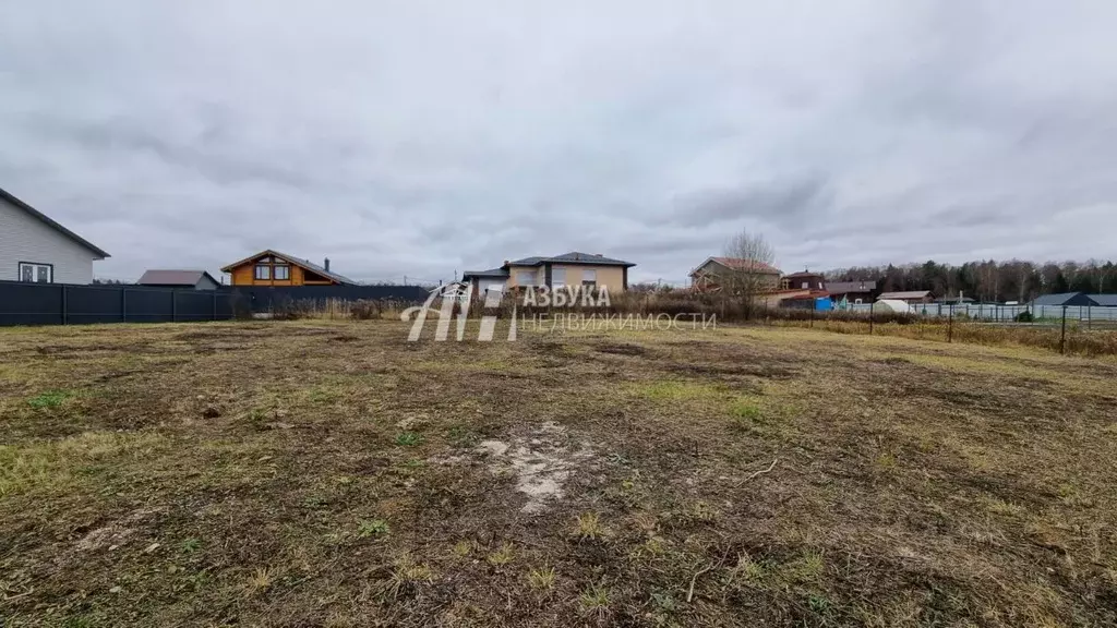 Участок в Московская область, Пушкинский городской округ, Дарьино ... - Фото 1