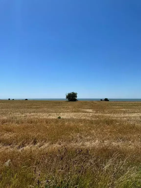 Участок в Ростовская область, Неклиновский район, Платовское с/пос, с. ... - Фото 0