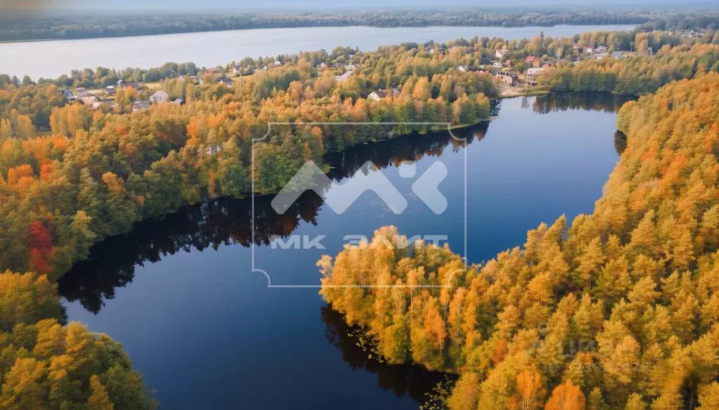 Участок в Ленинградская область, Выборгский район, пос. Поляны ул. ... - Фото 1