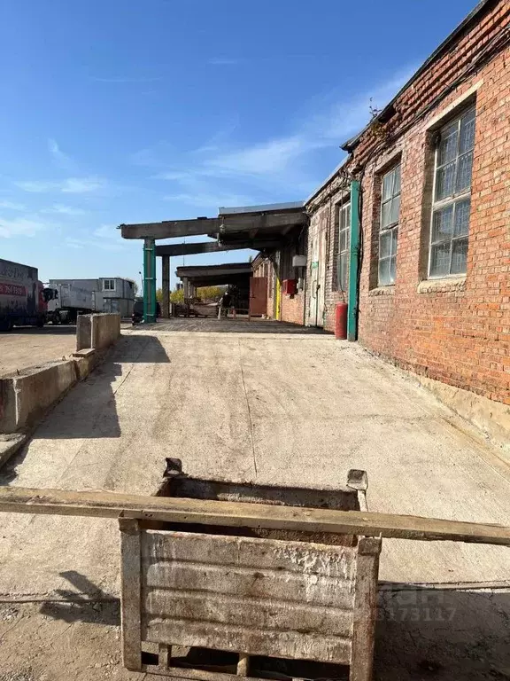 Помещение свободного назначения в Московская область, Истра ... - Фото 1