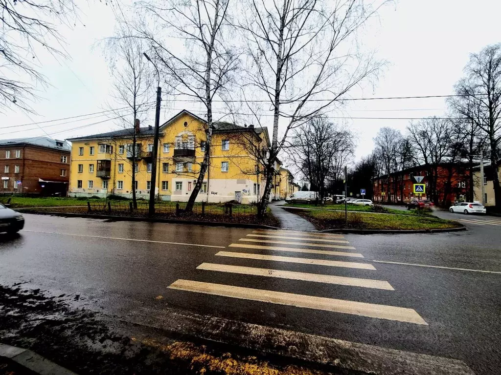 Торговая площадь в Ярославская область, Ярославль ул. Белинского, 31 ... - Фото 1