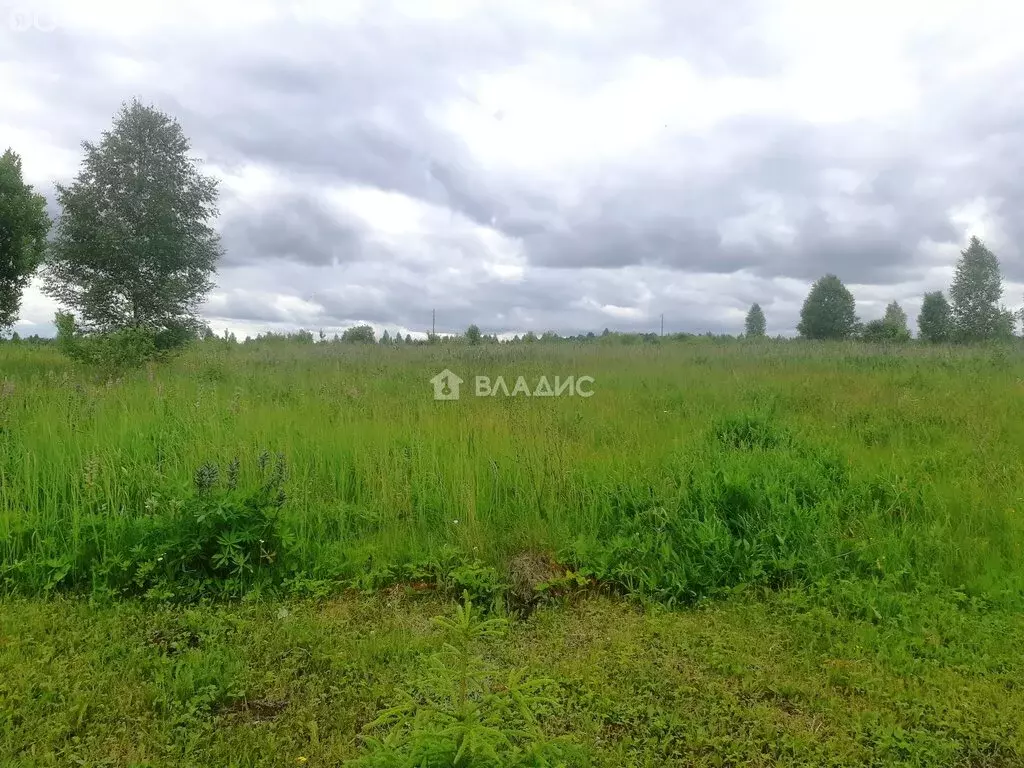 Участок в Городищенский район, посёлок Тумалейка (15 м) - Фото 1
