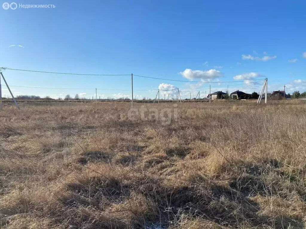 Участок в Зеленоградск, посёлок Клинцовка (10 м) - Фото 1