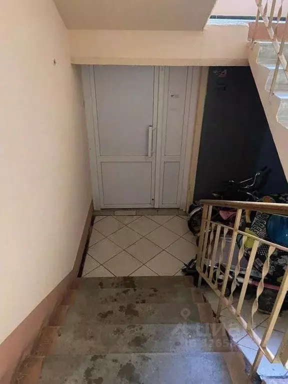 2-к кв. Воронежская область, Воронеж ул. 9 Января, 233/32 (55.6 м) - Фото 2