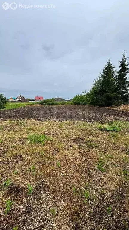 Дом в Тюменская область, Ялуторовский муниципальный округ, деревня ... - Фото 1