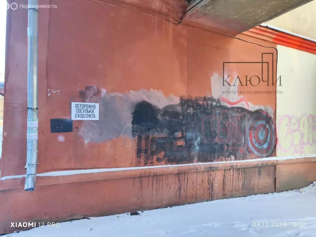 Офис (29.2 м) - Фото 2