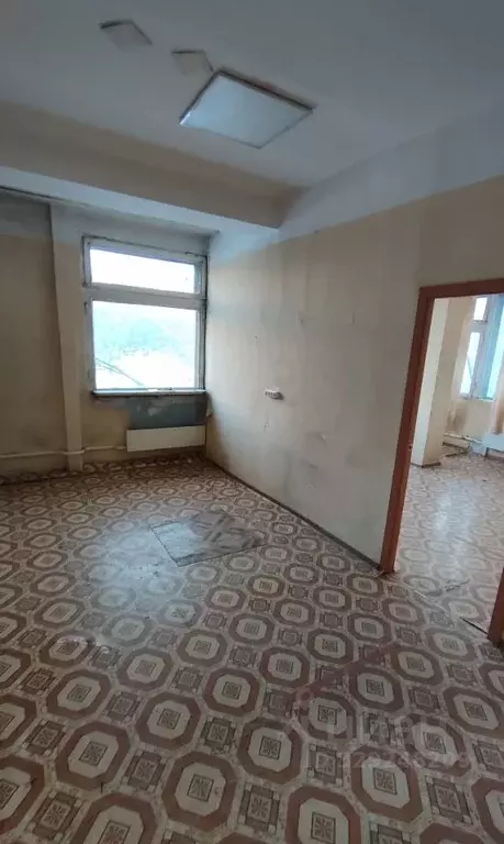 Помещение свободного назначения в Новосибирская область, Новосибирск ... - Фото 1