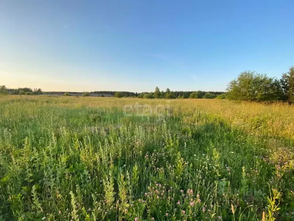 Участок в Свердловская область, Горноуральский городской округ, с. ... - Фото 0