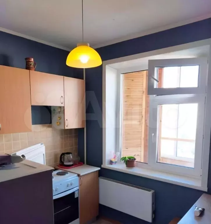 1-к. квартира, 26 м, 8/10 эт. - Фото 1