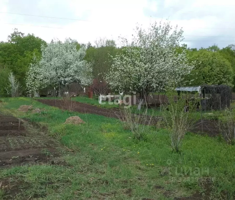 Участок в Амурская область, Благовещенск  (14.0 сот.) - Фото 2