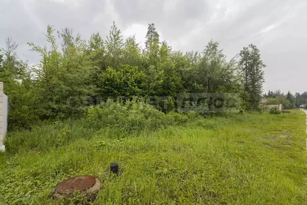 Участок в Московская область, Одинцовский городской округ, д. Сивково, ... - Фото 2