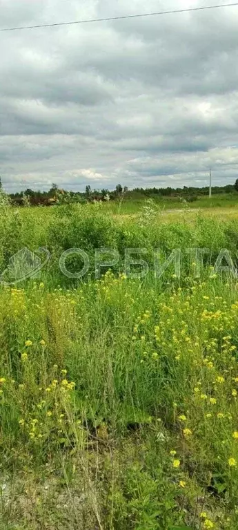 Участок в Тюменская область, Тюменский район, д. Марай  (7.5 сот.) - Фото 1