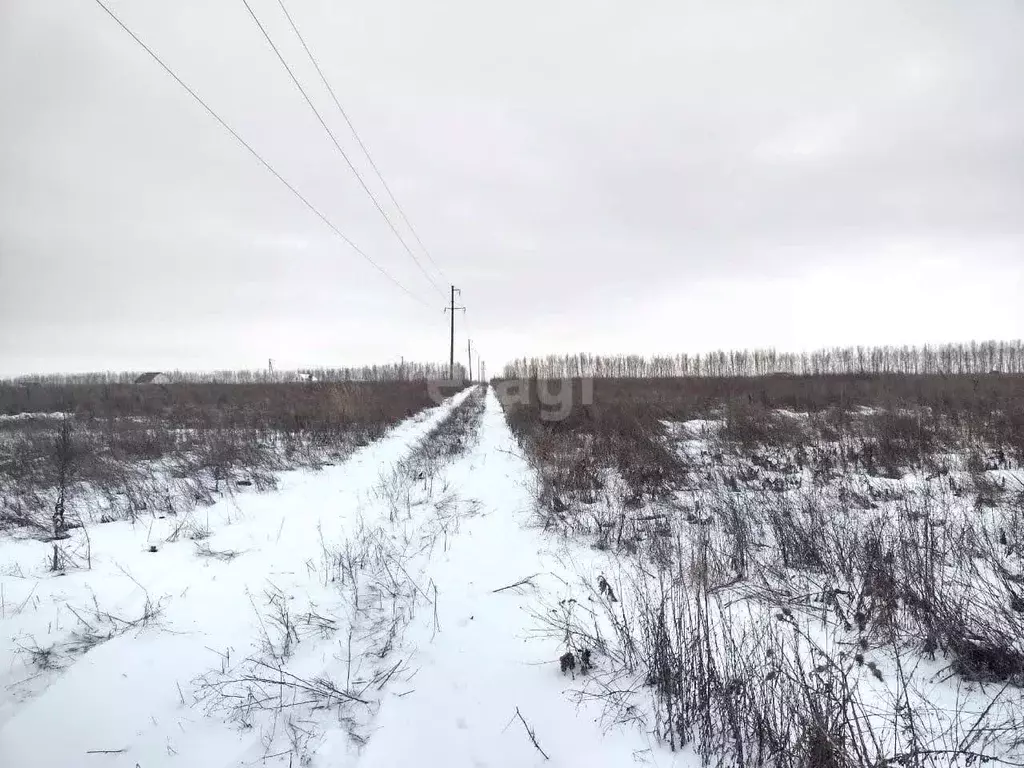 Участок в Воронежская область, Семилукский район, с. Девица  (44.7 ... - Фото 1