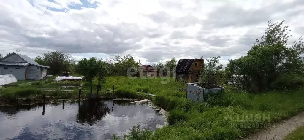 Участок в Вологодская область, Колос садоводческое товарищество  (5.2 ... - Фото 1