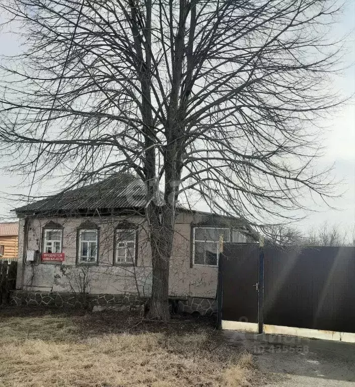 Дом в Белгородская область, Алексеевка ул. Чапаева (44 м) - Фото 0