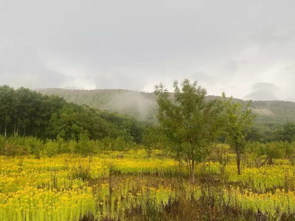 Участок в Краснодарский край, Горячий Ключ Администрация мкр,  (32.0 ... - Фото 2