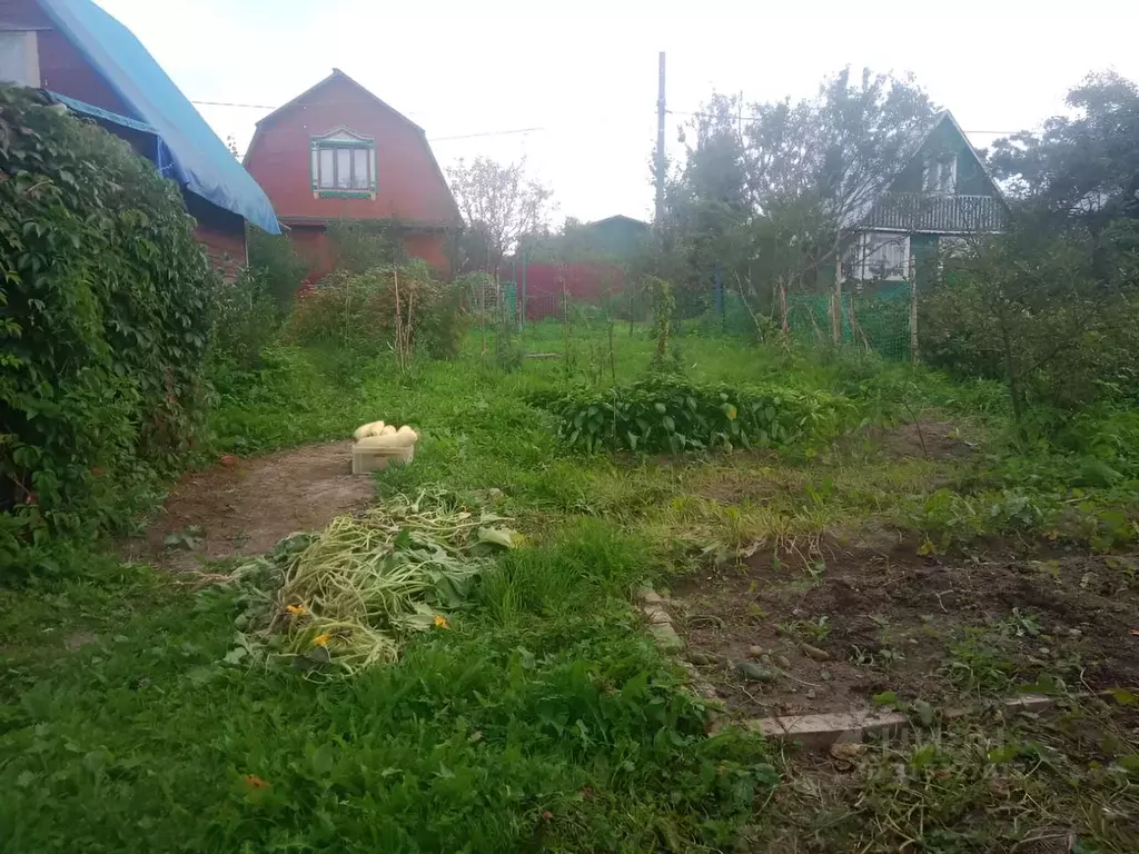 Дом в Владимирская область, Кольчугино муниципальное образование, ... - Фото 1