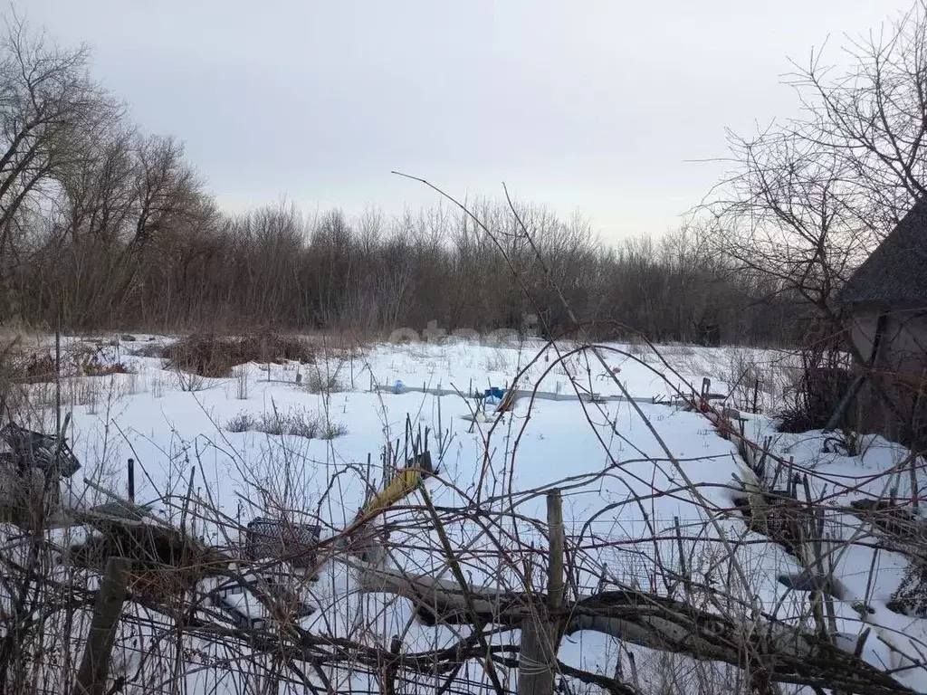 Дом в Белгородская область, Губкинский городской округ, с. Аверино  ... - Фото 1