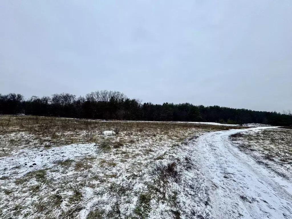 Участок в Воронежская область, Воронеж Шилово мкр,  (7.0 сот.) - Фото 2