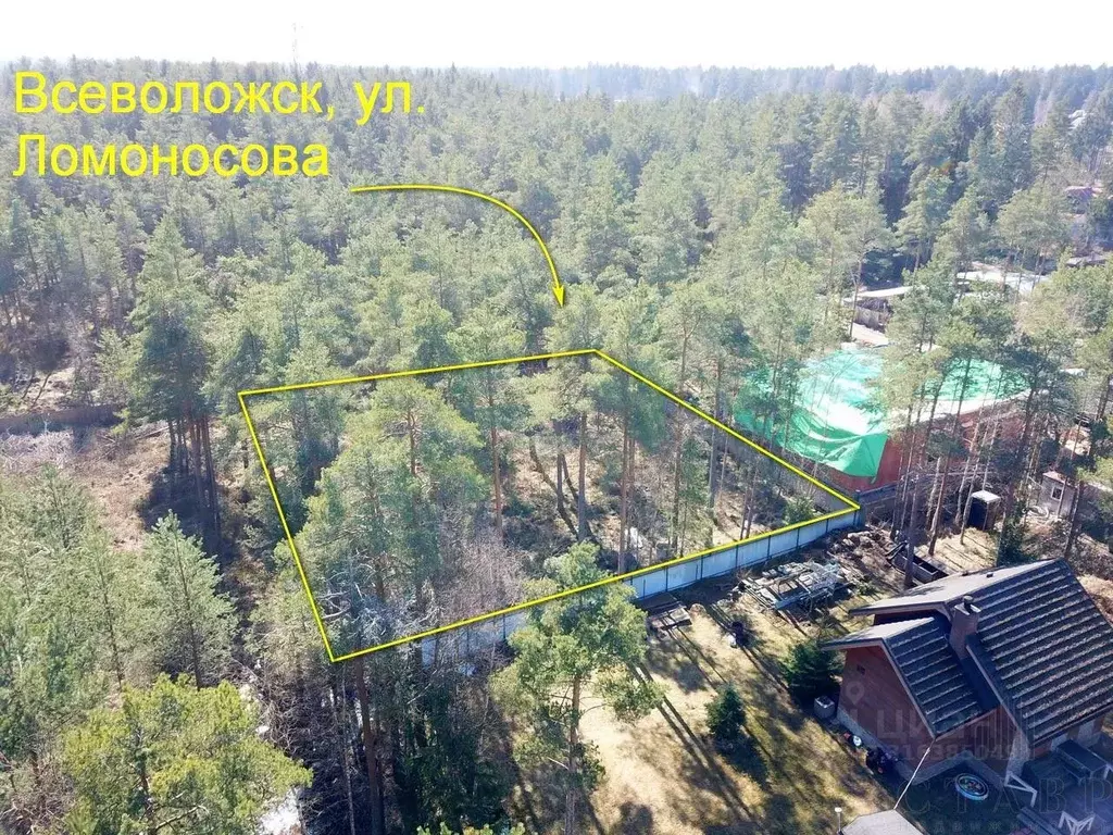 Участок в Ленинградская область, Всеволожск ул. Ломоносова, 111 (12.0 ... - Фото 0