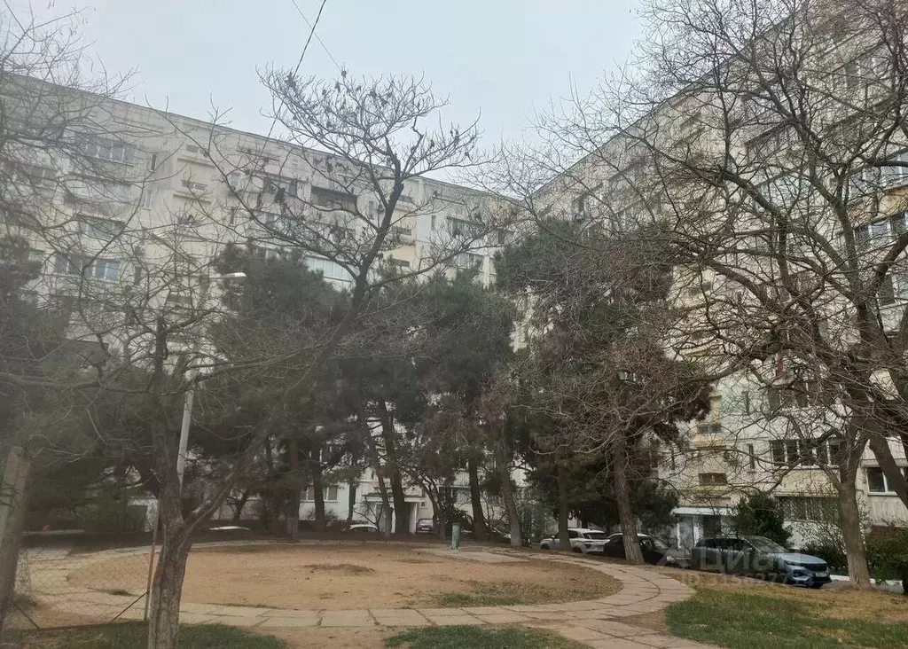 Комната Севастополь ул. Колобова, 19 (12.0 м) - Фото 0