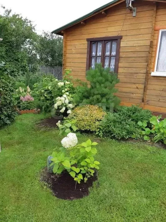 Участок в Ярославская область, Ярославль Нефтяник-1 СНТ, 437 (6.0 ... - Фото 1