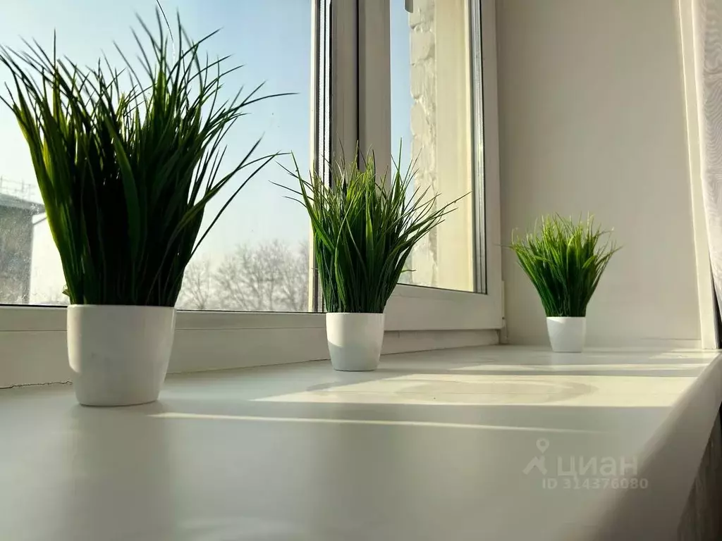 1-к кв. Забайкальский край, Чита ул. Забайкальского Рабочего, 23 (45.0 ... - Фото 2