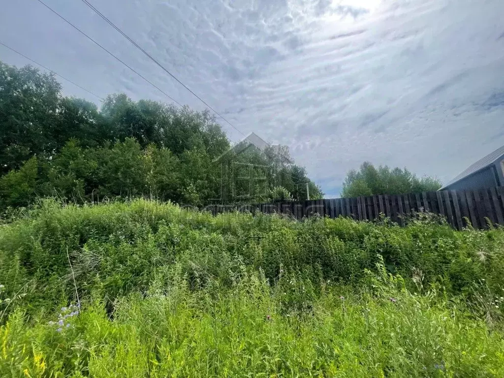 Участок в Красноярский край, Красноярск городской округ, пос. Элита ... - Фото 0