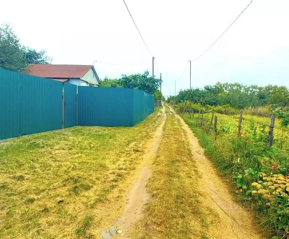 Дом в Курская область, Курский район, Клюквинский сельсовет, Звездочка ... - Фото 0