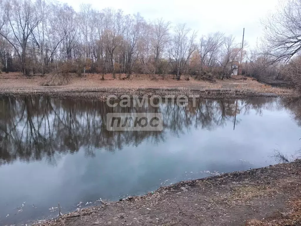 Участок в Воронежская область, Семилукское с/пос, с. Ендовище ул. ... - Фото 0