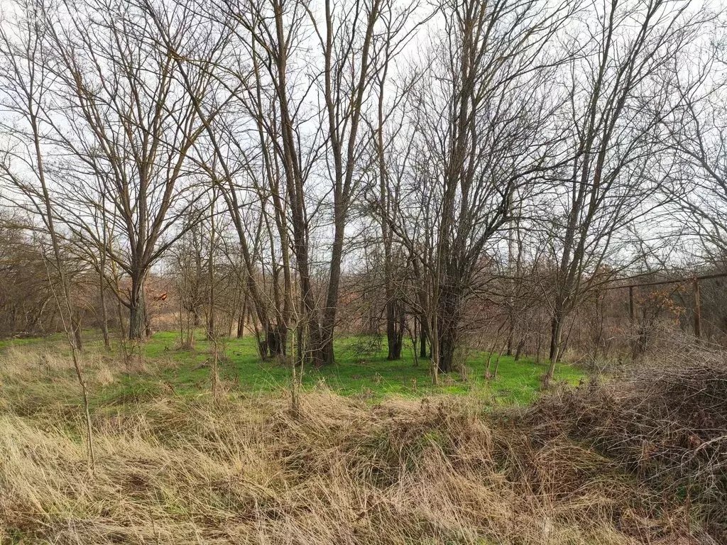 Участок в посёлок городского типа Ахтырский, Кустарная улица (9 м) - Фото 0