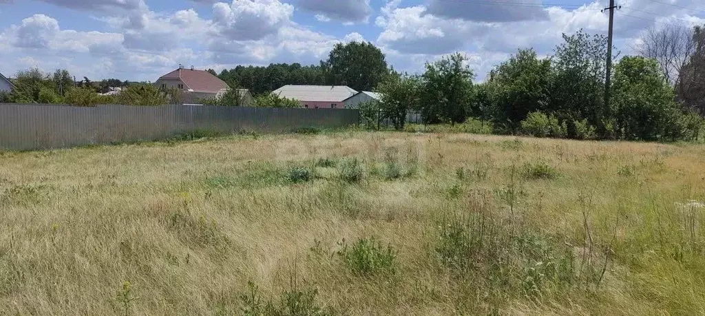 Участок в Воронежская область, Рамонский район, Айдаровское с/пос, с. ... - Фото 2