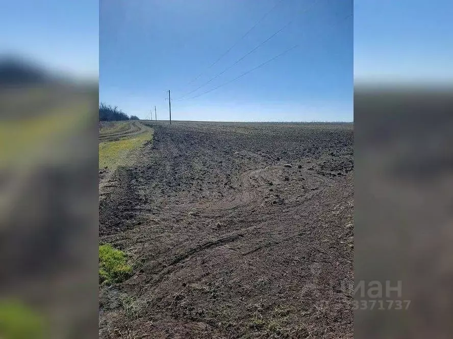 Участок в Ростовская область, Орловский район, Каменно-Балковское ... - Фото 2