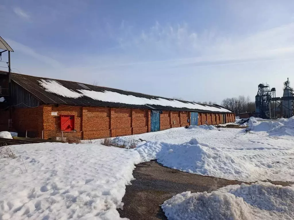 Помещение свободного назначения в Татарстан, Агрыз Азиатская ул., 45 ... - Фото 2