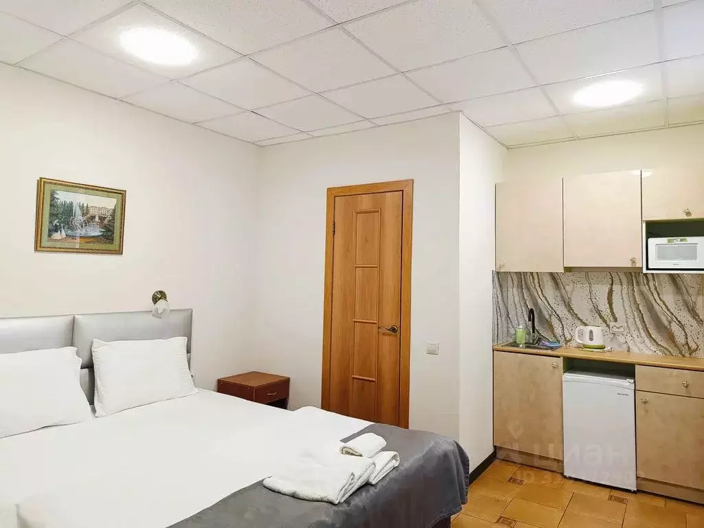 1-к кв. Санкт-Петербург Киевская ул., 24/22Б (16.0 м) - Фото 0